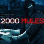 2000 Mules: All you need to know about the Film
