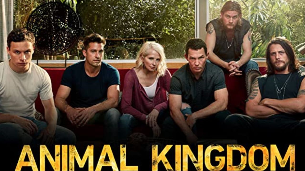 Animal Kingdom IMDB Ratings