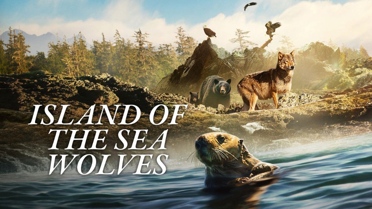 Island of the Sea Wolves: Plot, Trailer, Release Date And More