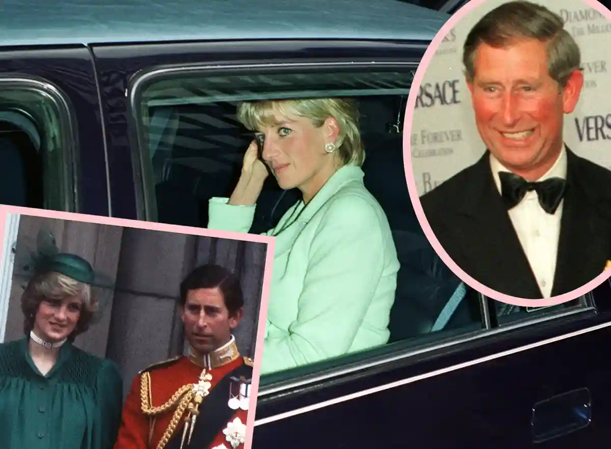 princess diana prince charles planning accident questioned investigation