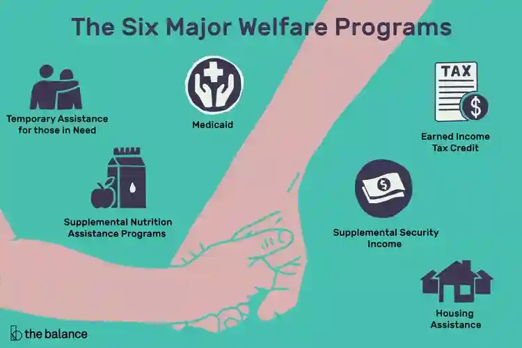 What Is a Welfare Program?