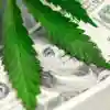 marijuana leaf atop a 100 dollar bill