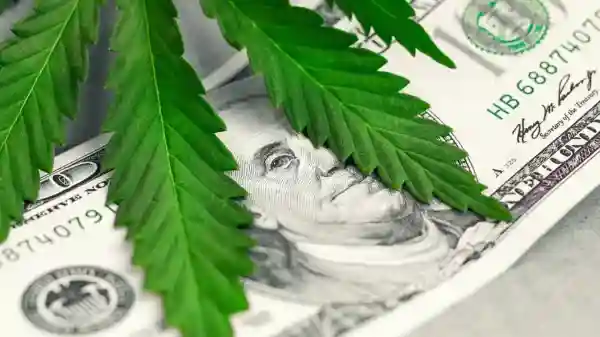 marijuana leaf atop a 100 dollar bill